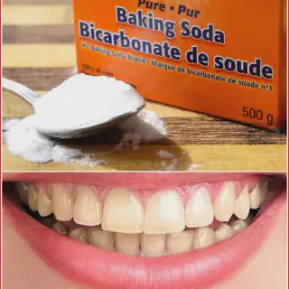 /img/25666-dentist-consultation.webp
